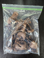 건능이버섯