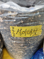 건석이버섯