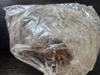 말굽버섯